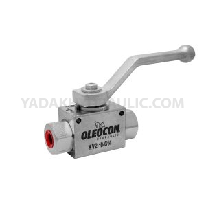 شیر ربع گرد دو راهی اولئوکن