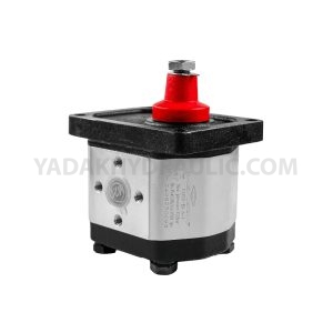 Purchase Casaba Gear Pump, Group Two